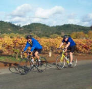 Bicyclists near Healdsburg