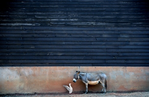 Greg Newington Photography