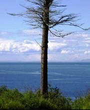 Ocean view from cottage near Port Townsend WA